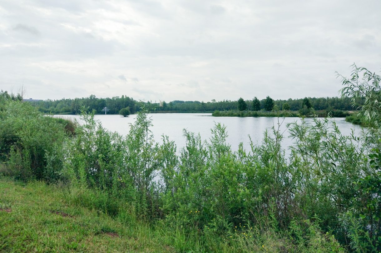 Te Koop: Foto Woonhuis aan de Boerenzwaluw 4-laagse waterwoning 14 in Arnhem