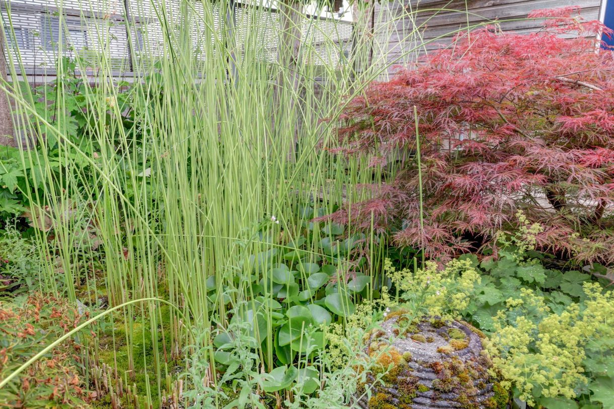 Te koop: Foto Woonhuis aan de Louis Paul Boonpad 1 in Arnhem